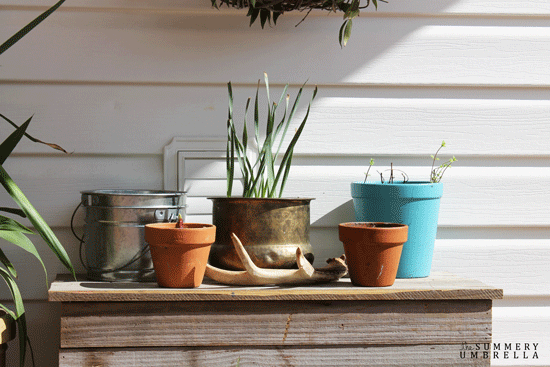 spring-front-porch-6