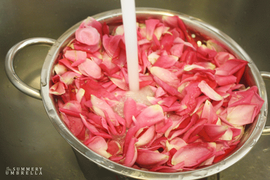 how-to-make-rose-water-2