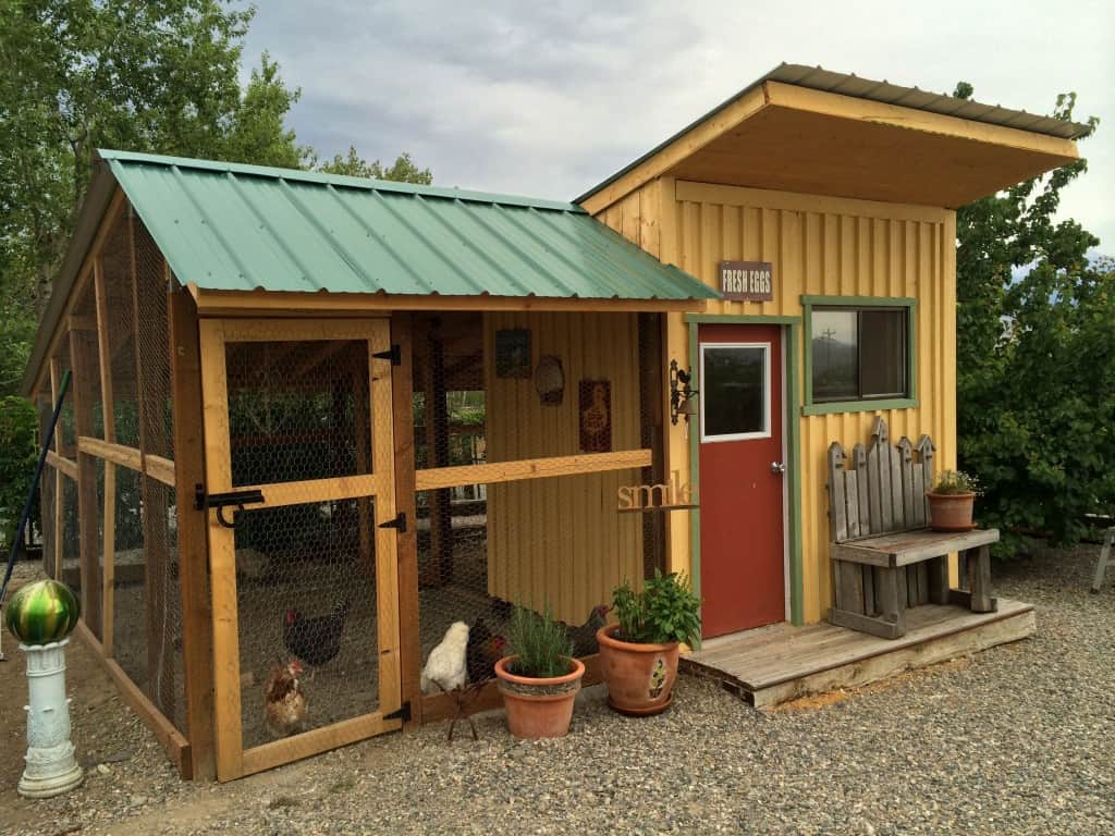 ozzy osbourne chicken coop